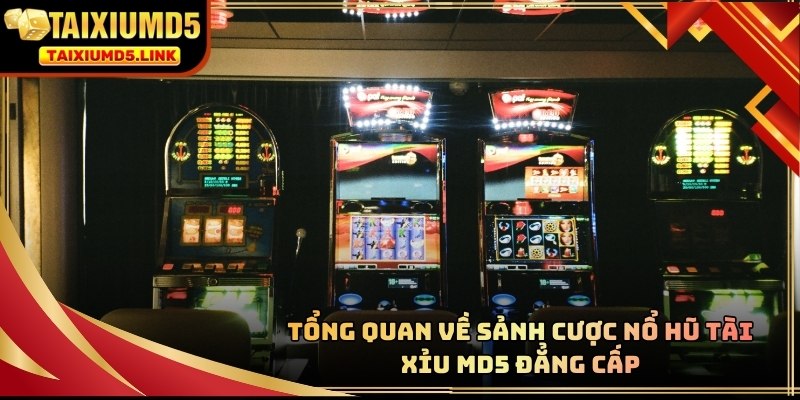 Nổ Hũ Tài Xỉu MD5 khẳng định vị thế độc tôn trên thị trường cá cược