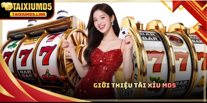 Giới thiệu tài xỉu md5 cái tên mới nổi gần đây